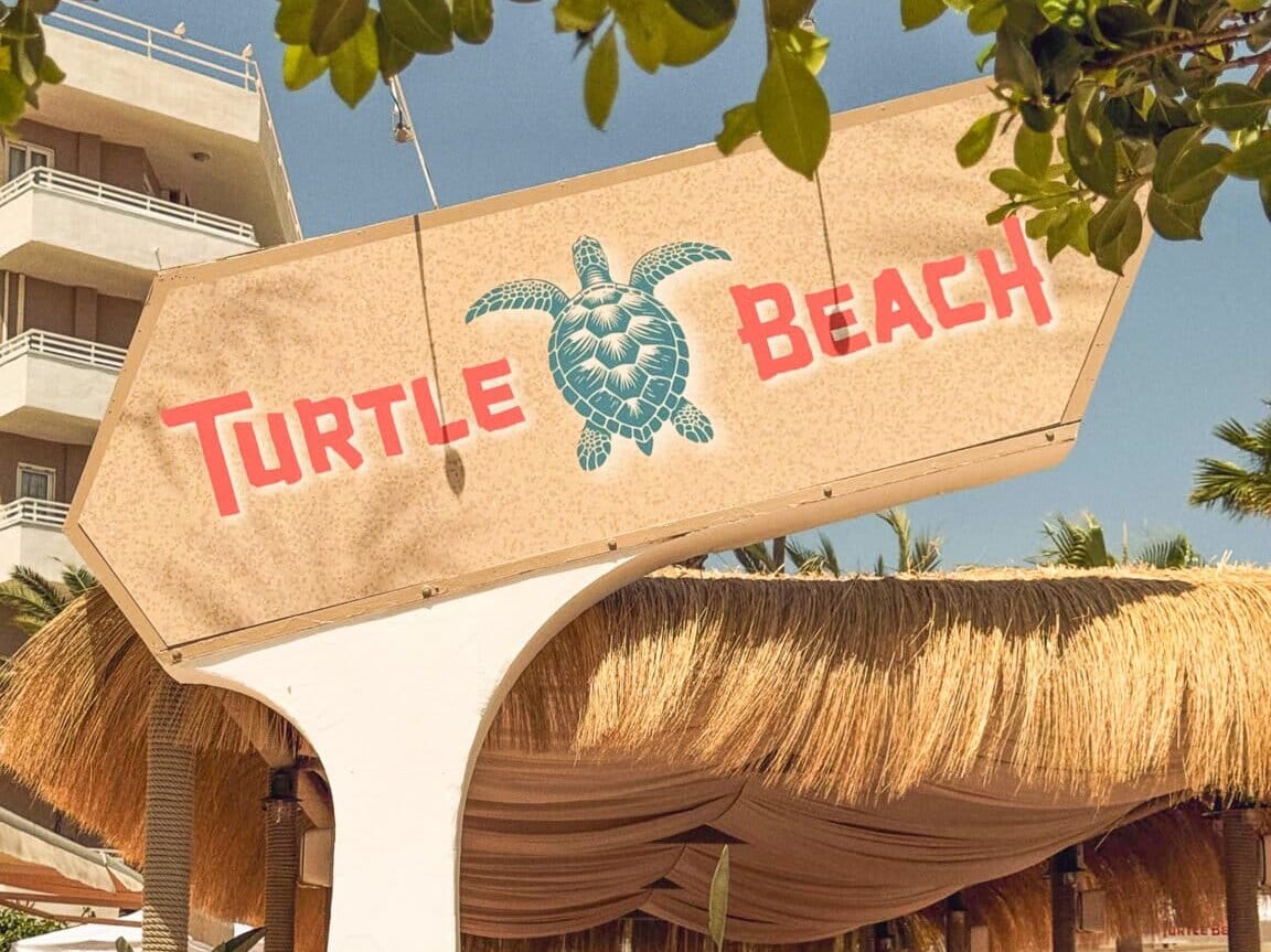 turtle beach in Magaluf